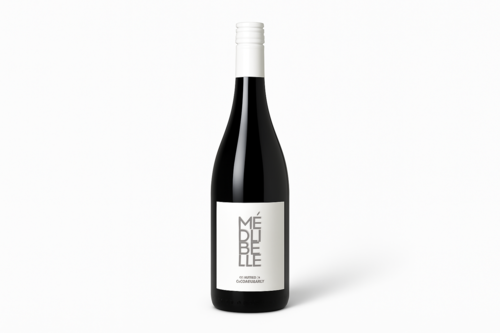 Méribelle Saumur Champigny 