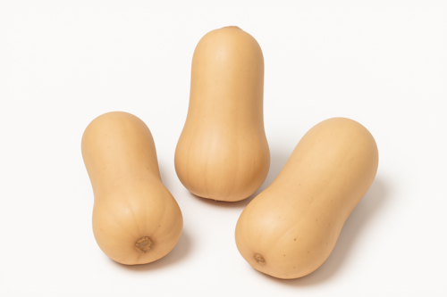 Courge Butternut