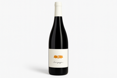 Saint Nicolas de Bourgueil Domaine Olivier