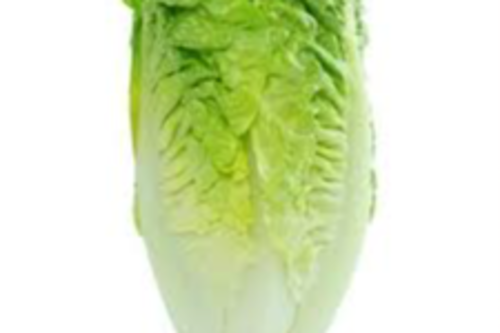 Salade Sucrine