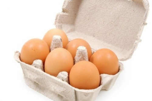 Œufs de nos poulettes