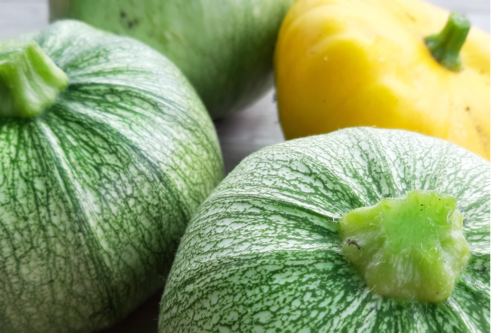 Courgettes rondes