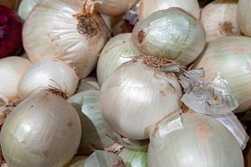 Oignon blanc