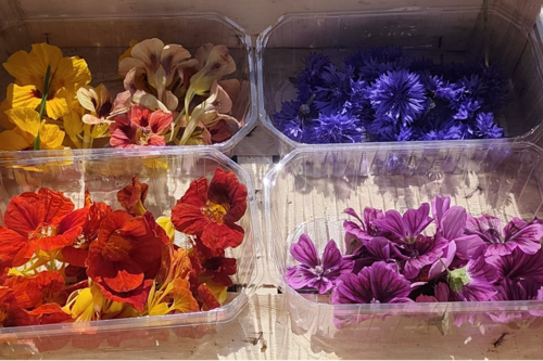 Barquette de fleurs comestibles
