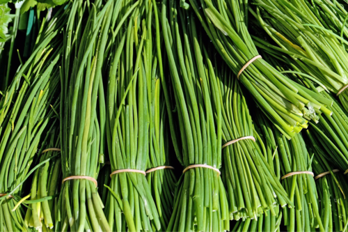 Ciboulette (botte)