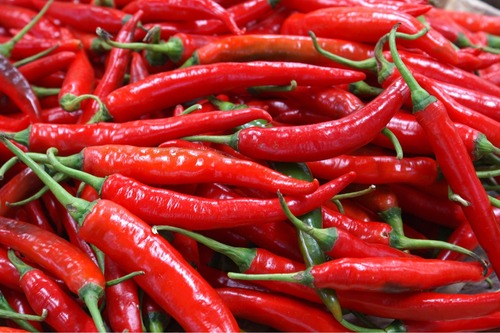 Piment (sucette de provence)