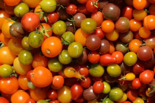 Tomates cerises (en mélange)