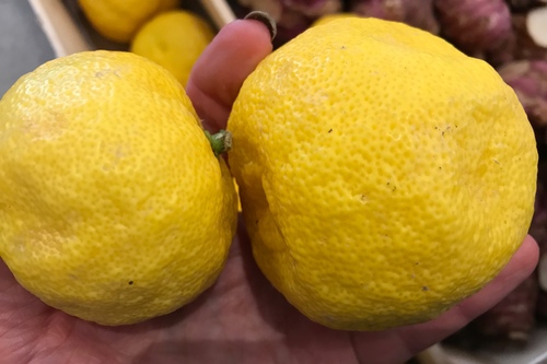 Citron yuzu français