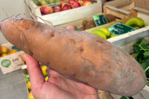 Patate douce bio
