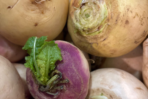 Navet bio