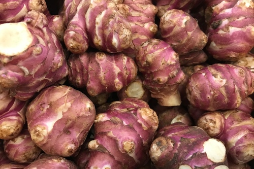 Topinambour bio
