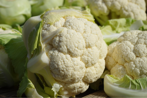 Chou fleur bio