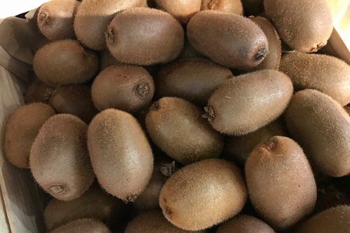 Kiwi bio