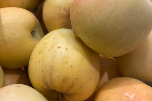 Pomme opale bio