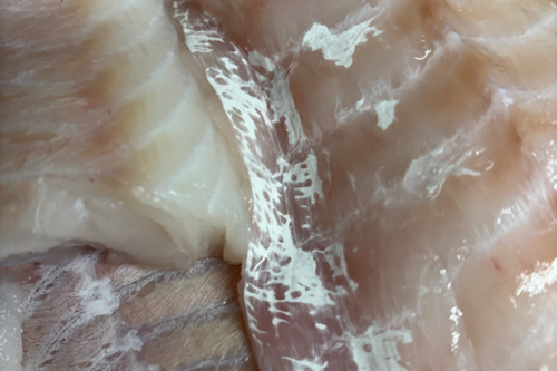 Filet de Julienne