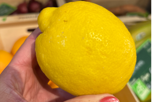 Citron jaune bio