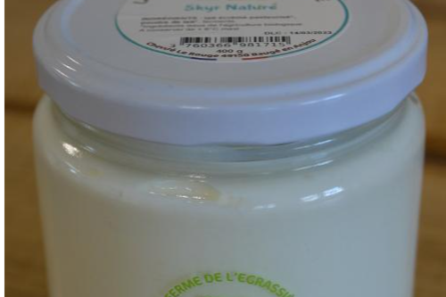 Skyr bio