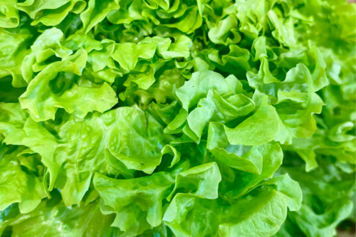 Salade