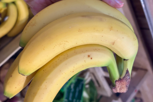 Banane bio