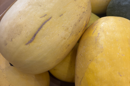 Courge spaghetti bio