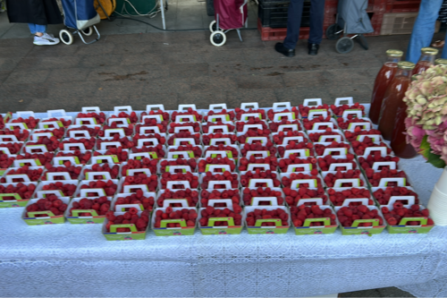 plateau framboise confiture