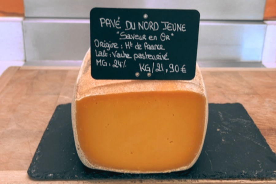 Pavé du Nord Jeune