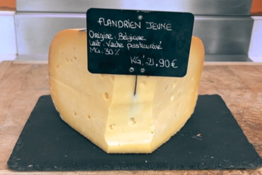 Flandrien Jeune